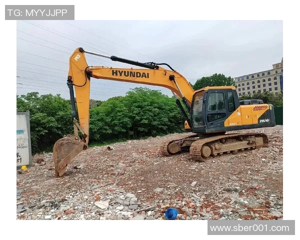 现代215Vs跑表技巧与实用经验分享,助你轻松掌握驾驶节奏与性能优化 现代215Vs跑表技巧与实用经验分享,助你轻松掌握驾驶节奏与性能优化