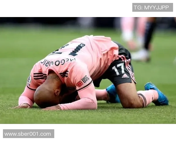 诺维奇主场迎战谢菲尔德星争夺英冠积分榜关键战役