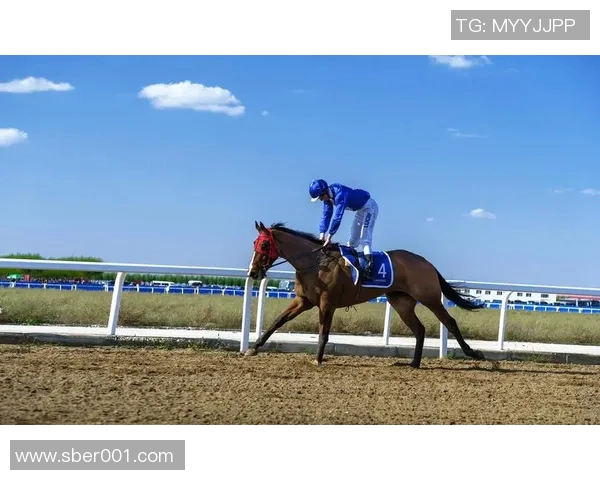 对话杨军：回顾我的网球生涯与未来展望的深度交流