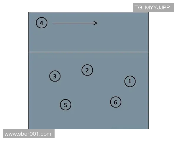 排球战术解析：深入探讨北京排球队的进攻策略与技巧