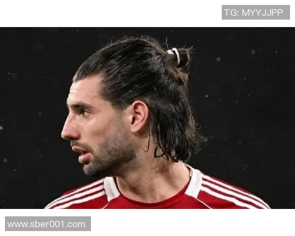 探索索博斯洛伊的历史与文化魅力揭示其在现代社会中的重要性与影响力