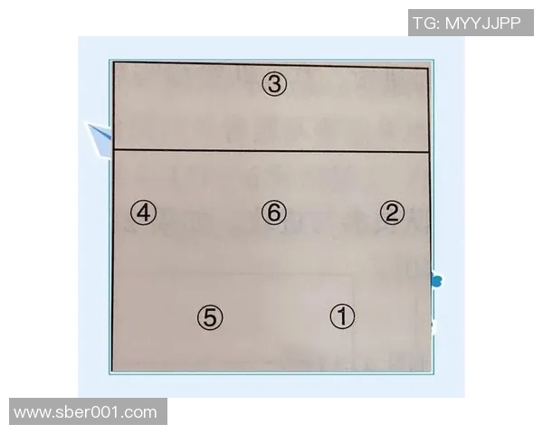 杭州排球队中路突破表现分析与战术调整探讨