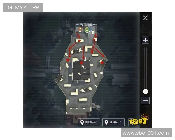 和平精英战术解析：深入探讨WE战队的进攻策略与战术布局