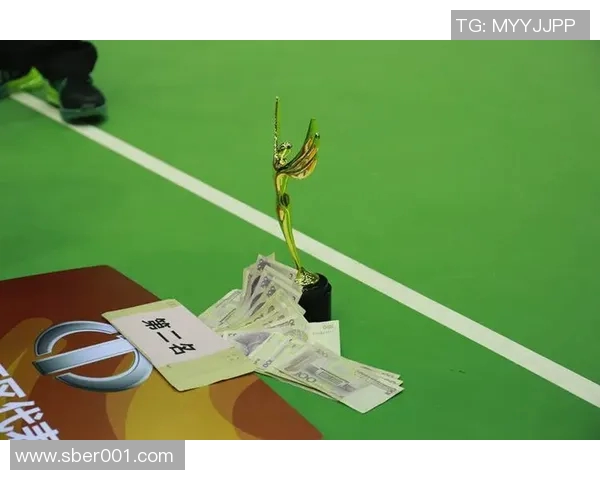 深度对话：杨静如何在羽毛球世界中追寻梦想与挑战人生