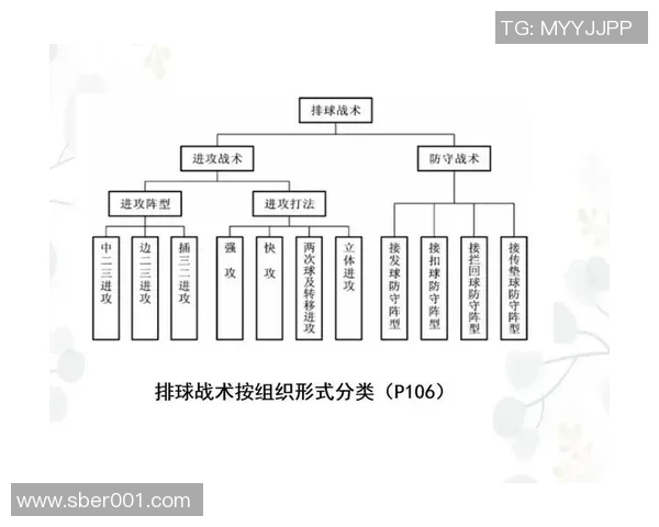 上海排球队中路突破分析与战术创新探讨 上海排球队中路突破分析与战术创新探讨